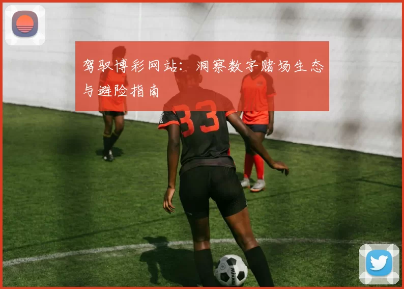 驾驭博彩网站：洞察数字赌场生态与避险指南