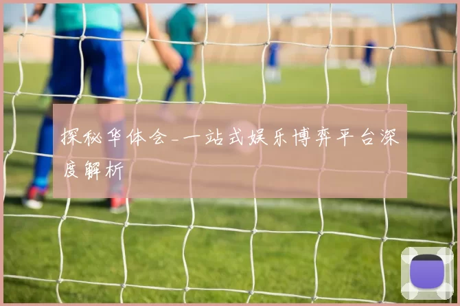 探秘华体会_一站式娱乐博弈平台深度解析