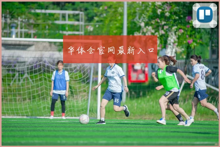 华体会官网最新入口