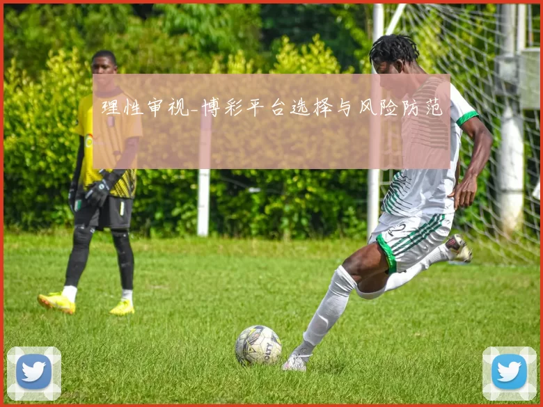 理性审视_博彩平台选择与风险防范