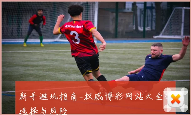 新手避坑指南_权威博彩网站大全的选择与风险