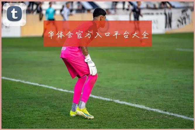 华体会官方入口平台大全