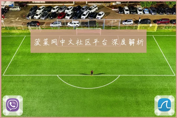 菠菜网中文社区平台 深度解析