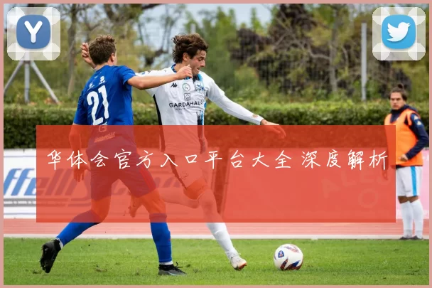 华体会官方入口平台大全 深度解析
