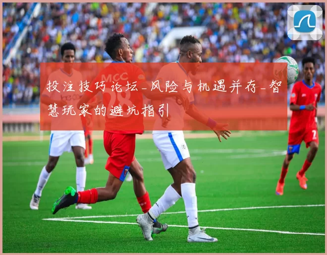 投注技巧论坛_风险与机遇并存_智慧玩家的避坑指引
