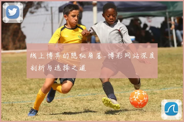 线上博弈的隐秘角落_博彩网站深度剖析与选择之道