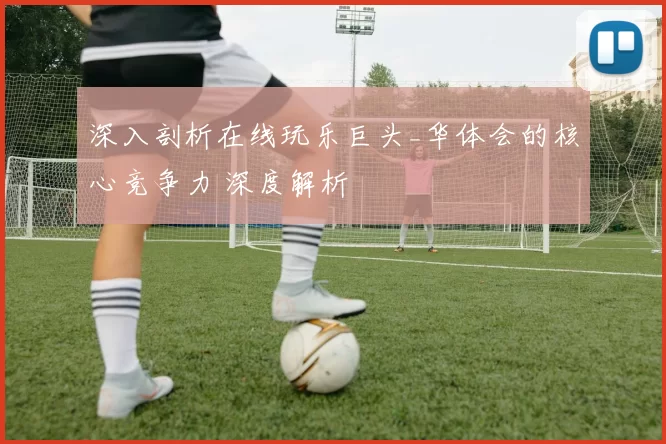 深入剖析在线玩乐巨头_华体会的核心竞争力 深度解析