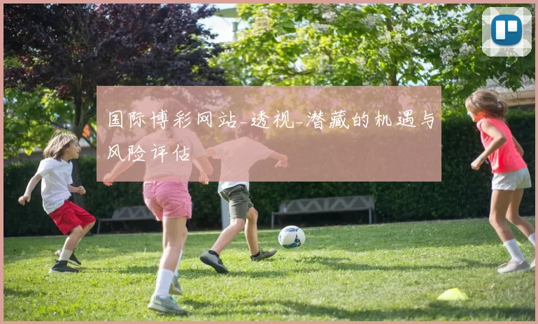 国际博彩网站_透视_潜藏的机遇与风险评估