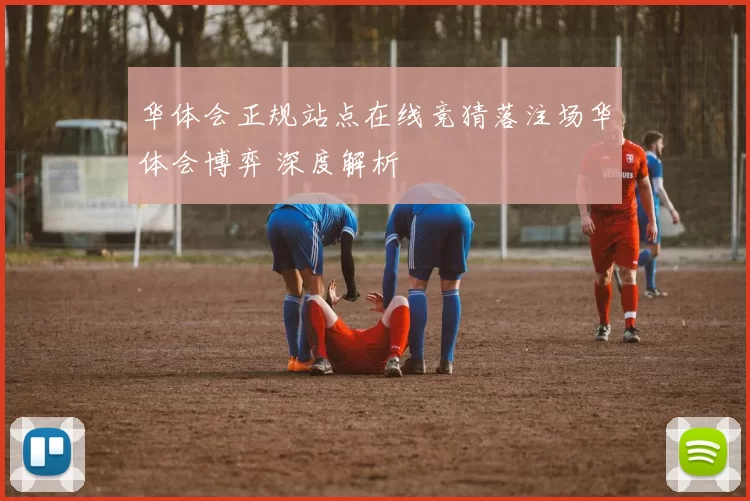 华体会正规站点在线竞猜落注场华体会博弈 深度解析
