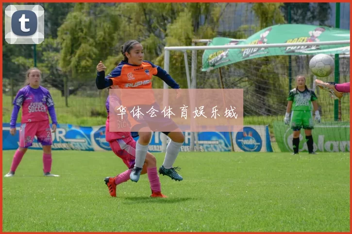 华体会体育娱乐城