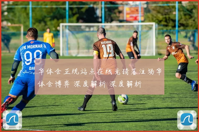 华体会正规站点在线竞猜落注场华体会博弈 深度解析 深度解析