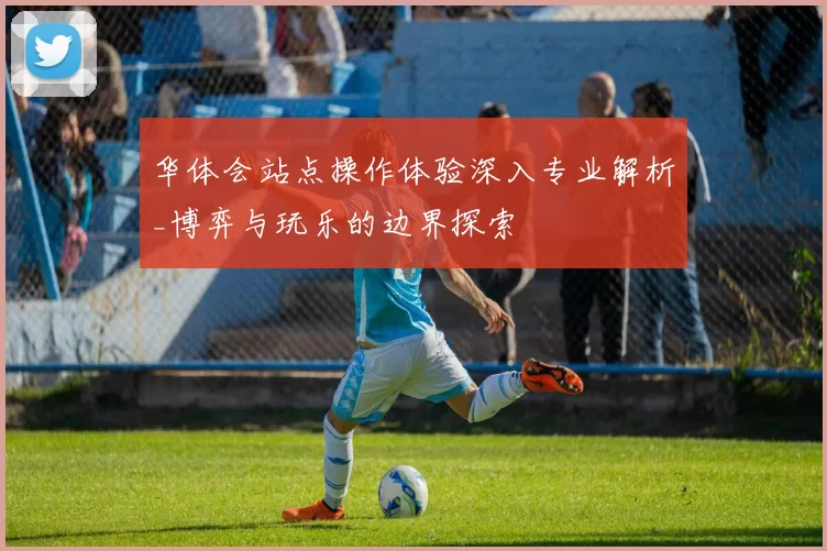 华体会站点操作体验深入专业解析_博弈与玩乐的边界探索