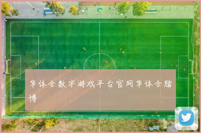 华体会数字游戏平台官网华体会赌博