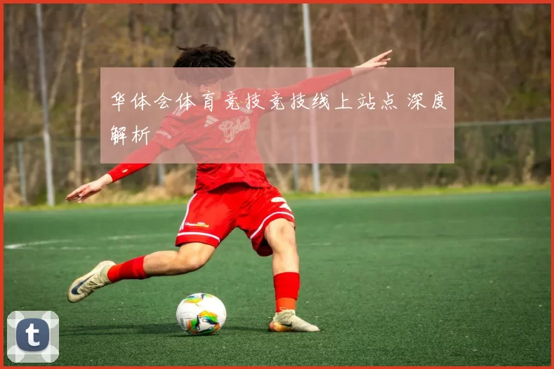 华体会体育竞技竞技线上站点 深度解析