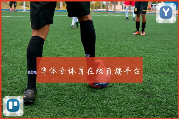 华体会体育在线直播平台