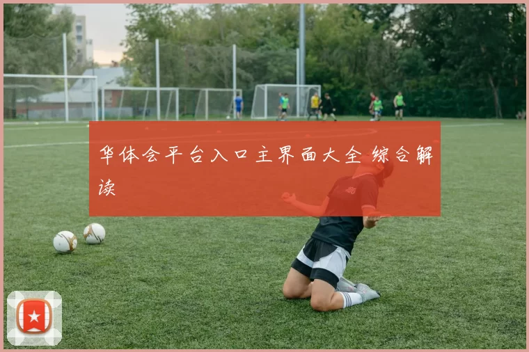 华体会平台入口主界面大全 综合解读