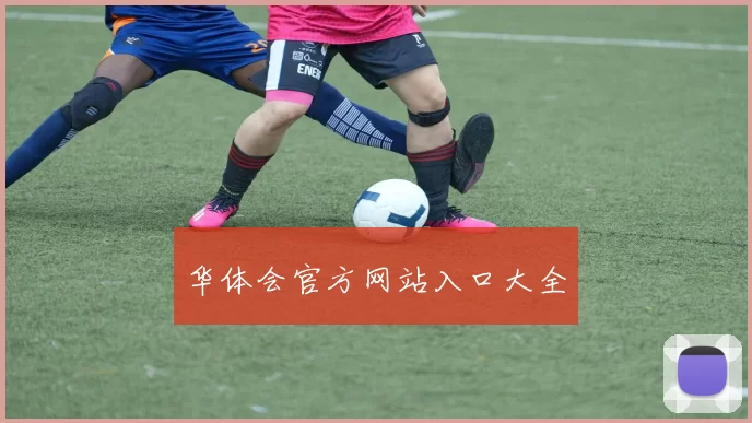 华体会官方网站入口大全