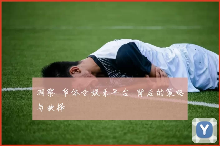 洞察_华体会娱乐平台_背后的策略与抉择