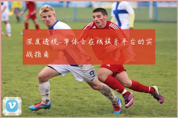 深度透视_华体会在线娱乐平台的实战指南