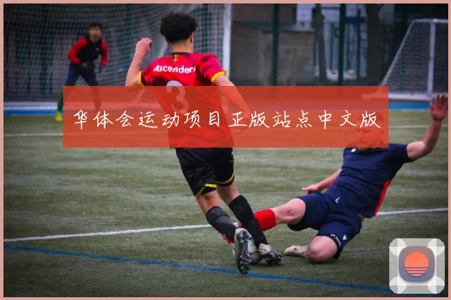 华体会运动项目正版站点中文版