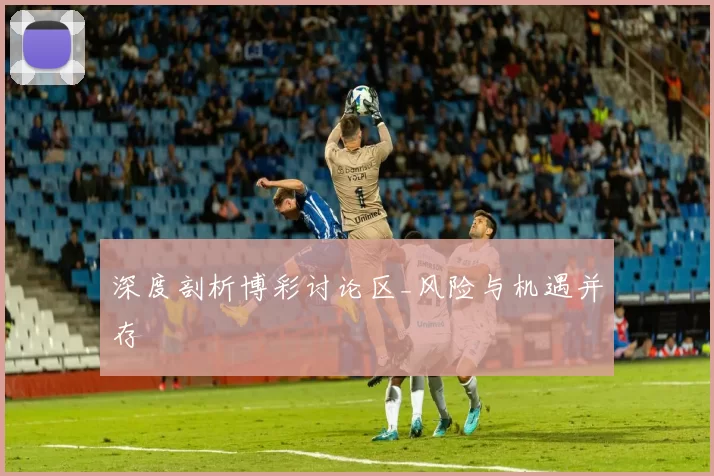 深度剖析博彩讨论区_风险与机遇并存