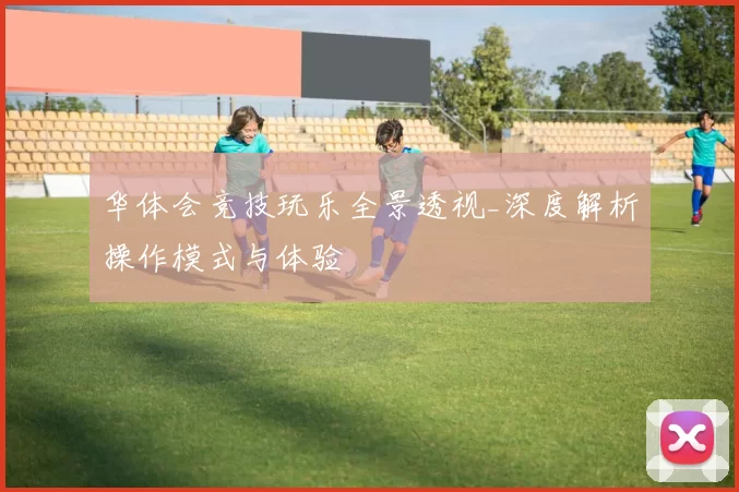 华体会竞技玩乐全景透视_深度解析操作模式与体验