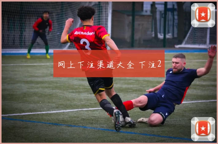 网上下注渠道大全 下注2