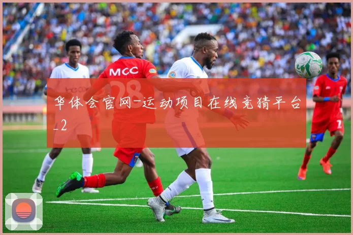 华体会官网-运动项目在线竞猜平台_2