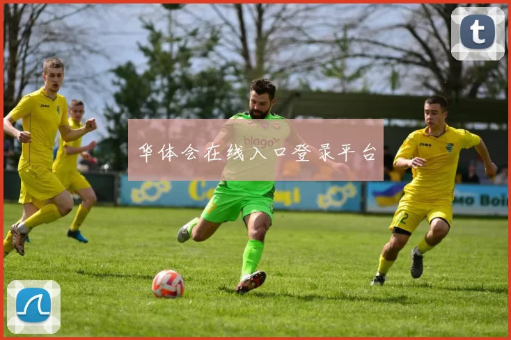 华体会在线入口登录平台