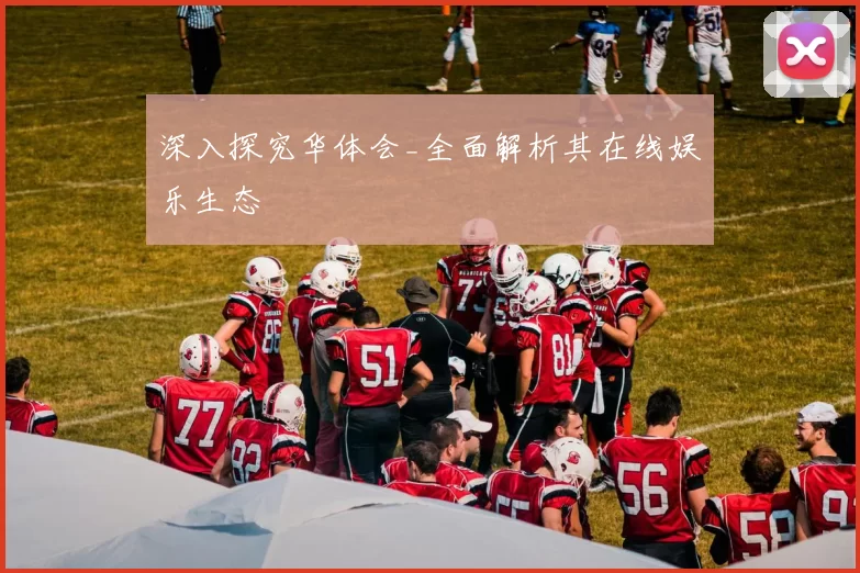 深入探究华体会_全面解析其在线娱乐生态