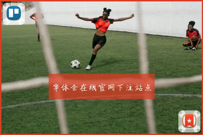 华体会在线官网下注站点
